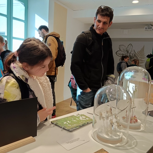 Actualités Actualités - Évènements