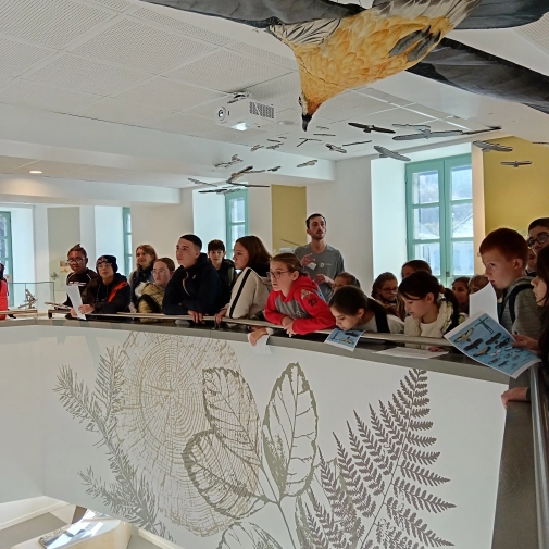 Actualités Actualités - Évènements