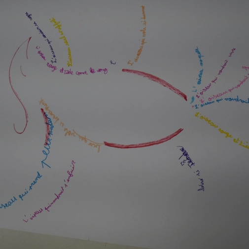 Actualités Actualités - Évènements