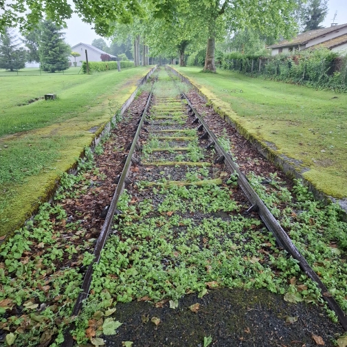 Actualités Actualités - Évènements