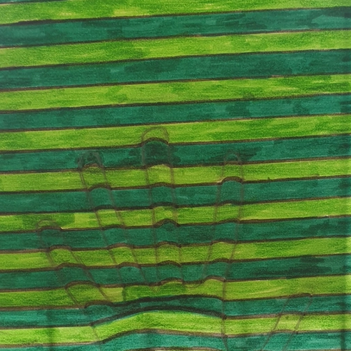 Galerie des œuvres :