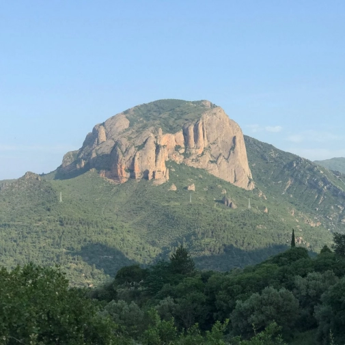 Actualités Actualités - Évènements