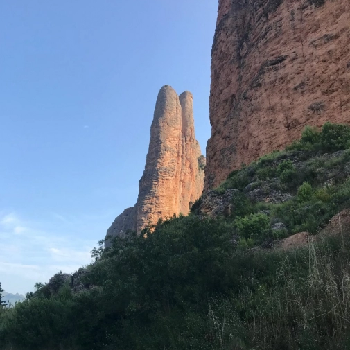 Actualités Actualités - Évènements