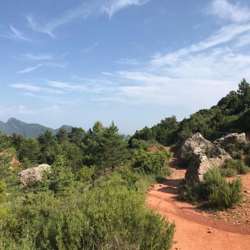 Actualités Actualités - Évènements