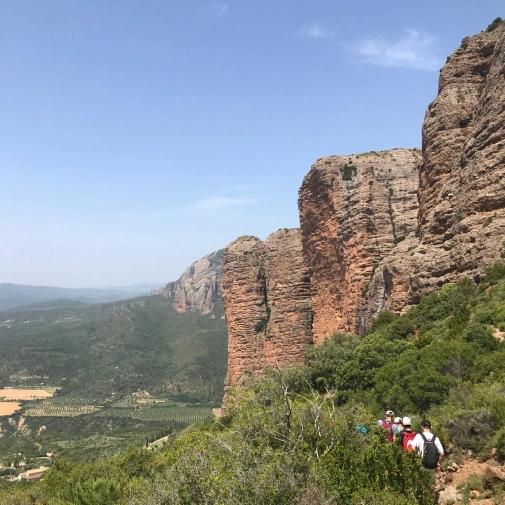 Actualités Actualités - Évènements