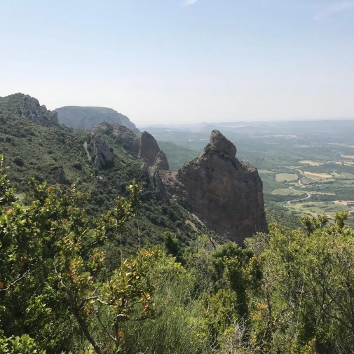 Actualités Actualités - Évènements