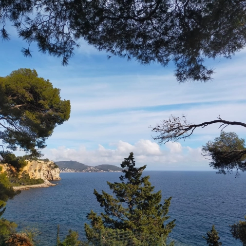 Actualités Actualités - Évènements