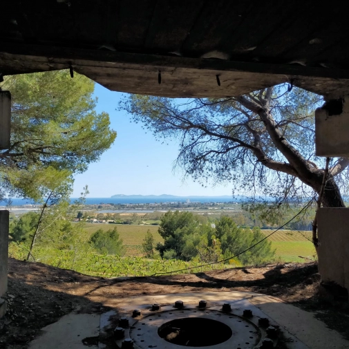 Actualités Actualités - Évènements