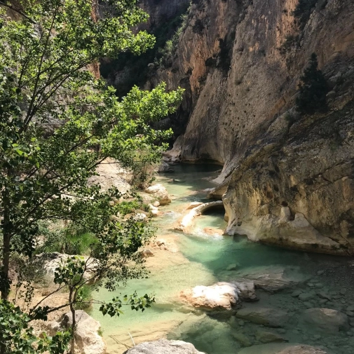 Actualités Actualités - Évènements