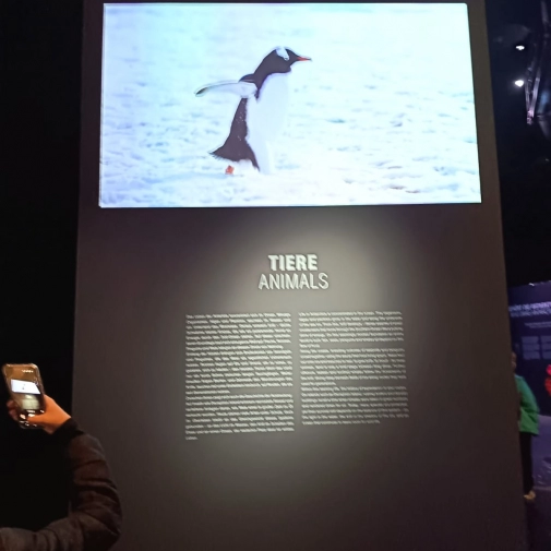 Jour 5 : mardi 24 mars