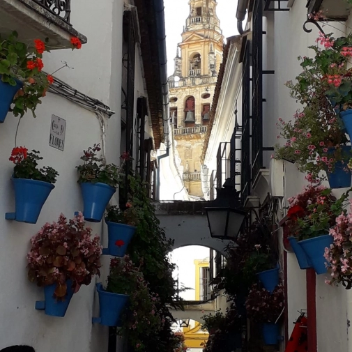 Actualités Actualités - Évènements