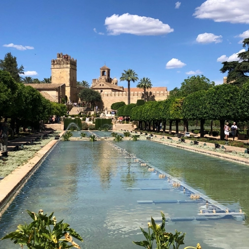 Actualités Actualités - Évènements