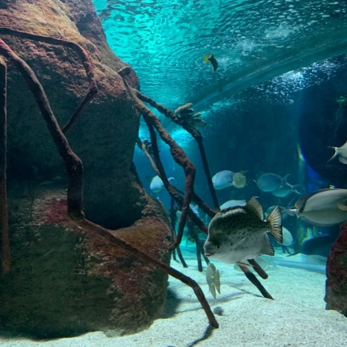 Actualités Actualités - Évènements