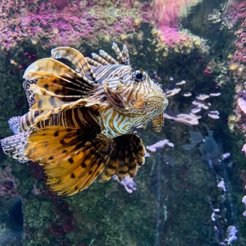 Actualités Actualités - Évènements