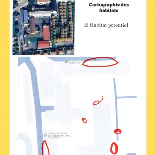 Actualités Actualités - Évènements