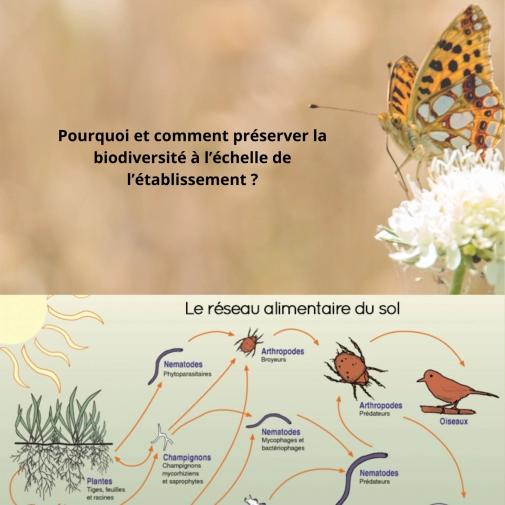 Actualités Actualités - Évènements