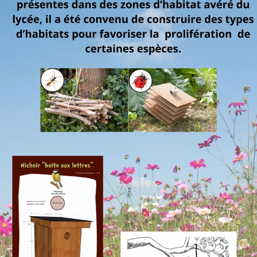 Actualités Actualités - Évènements