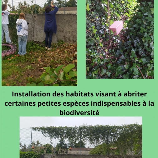 Actualités Actualités - Évènements