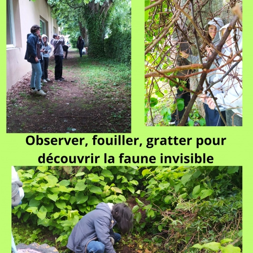 Actualités Actualités - Évènements