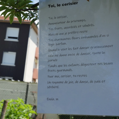 Actualités Actualités - Évènements