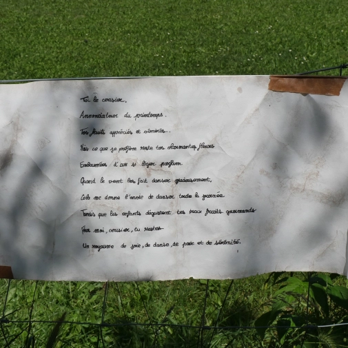 Actualités Actualités - Évènements