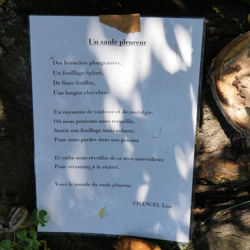 Actualités Actualités - Évènements