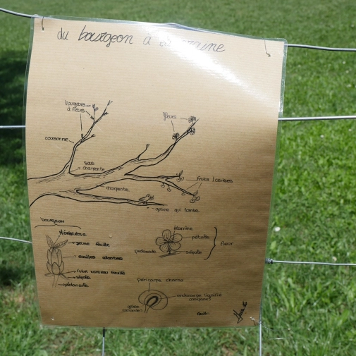 Actualités Actualités - Évènements