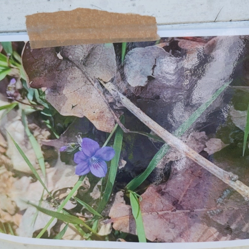 Actualités Actualités - Évènements