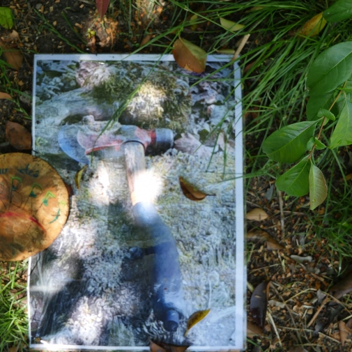 Actualités Actualités - Évènements