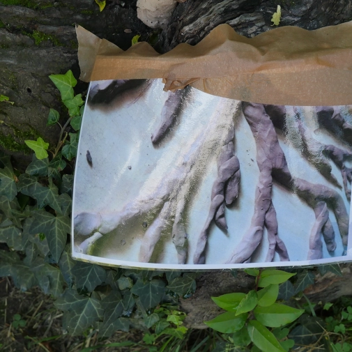 Actualités Actualités - Évènements