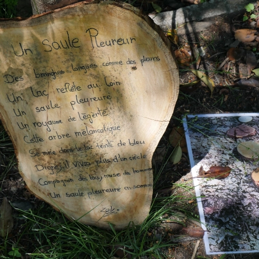 Actualités Actualités - Évènements