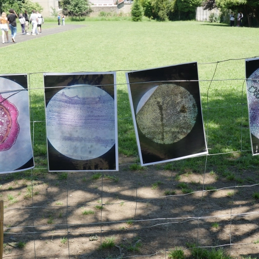 Actualités Actualités - Évènements