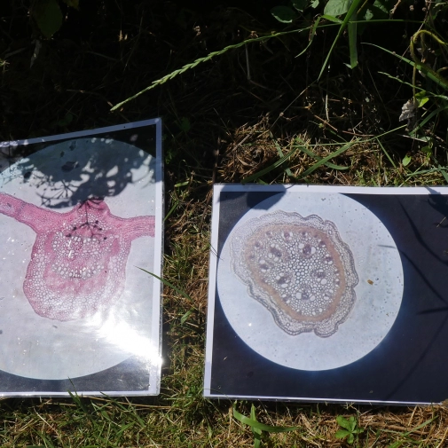 Actualités Actualités - Évènements