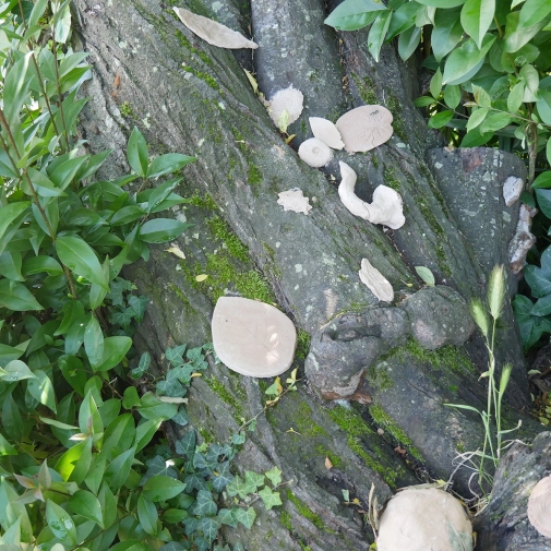 Actualités Actualités - Évènements