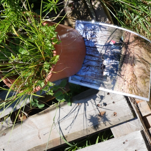 Actualités Actualités - Évènements