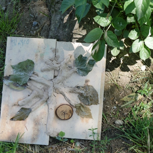 Actualités Actualités - Évènements