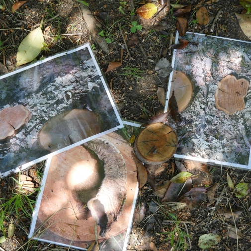 Actualités Actualités - Évènements