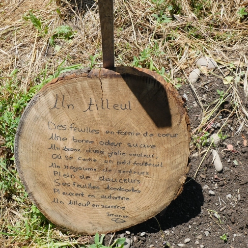 Actualités Actualités - Évènements