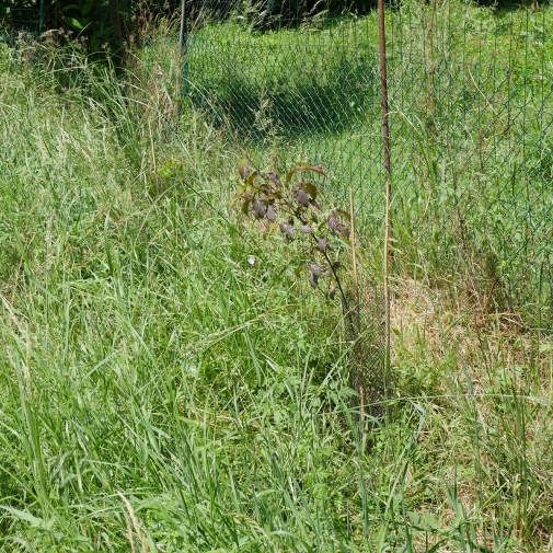 Actualités Actualités - Évènements