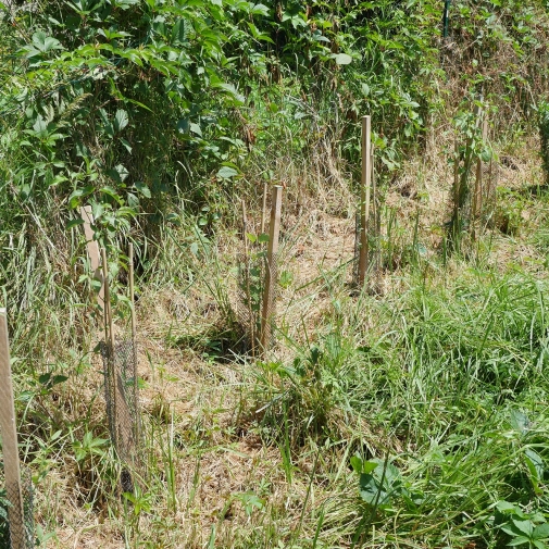 Actualités Actualités - Évènements