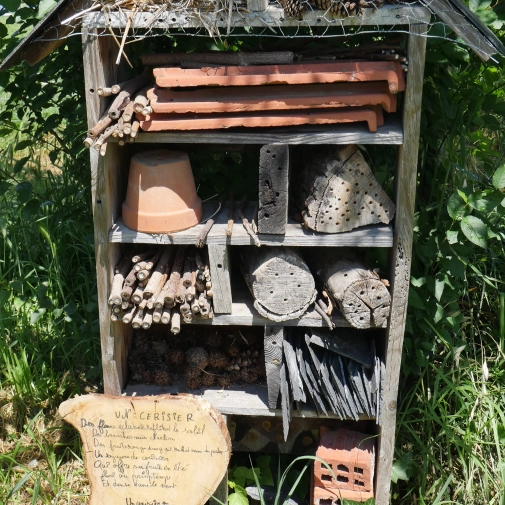 Actualités Actualités - Évènements