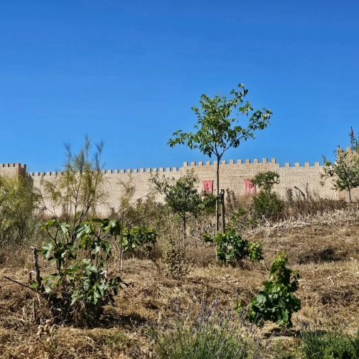 Actualités Actualités - Évènements