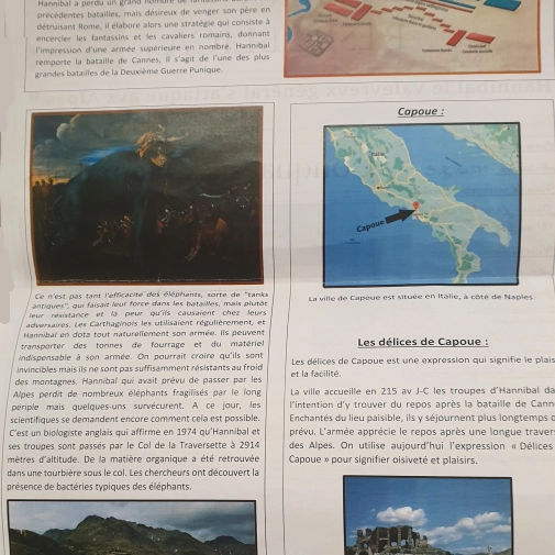 Journal Latin des 4e