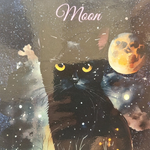 Actualités Actualités - Évènements