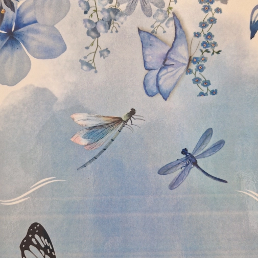 Actualités Actualités - Évènements