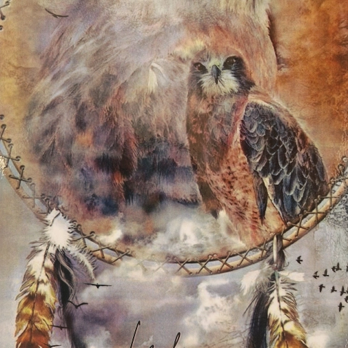 Actualités Actualités - Évènements