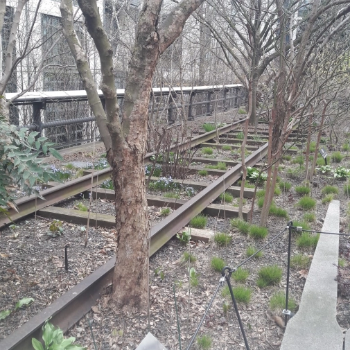 Actualités Actualités - Évènements