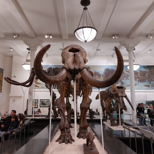 Actualités Actualités - Évènements