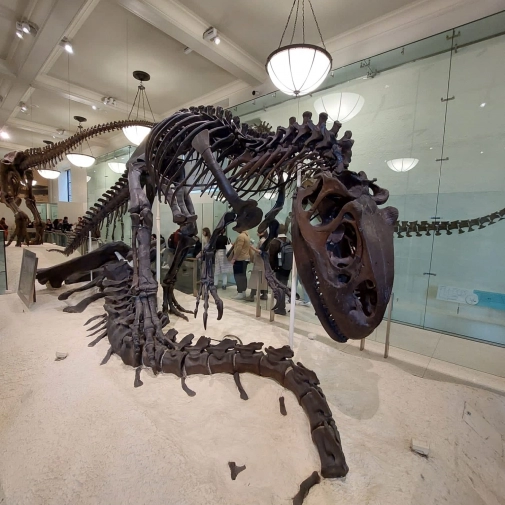 Actualités Actualités - Évènements