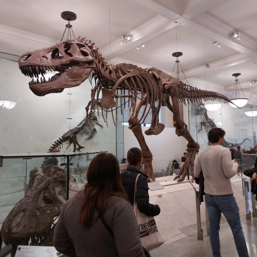 Actualités Actualités - Évènements